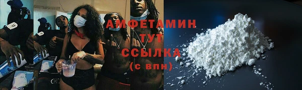 молекула духа Арсеньев