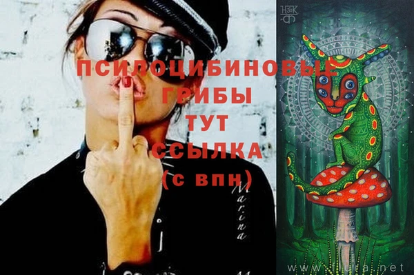 молекула духа Армянск