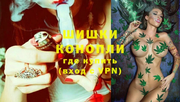 молекула духа Арсеньев
