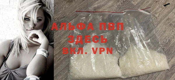 молекула духа Арсеньев