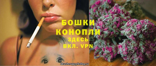 молекула духа Арсеньев