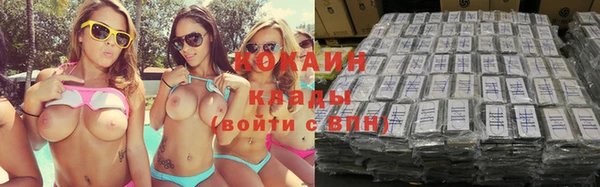 молекула духа Арсеньев